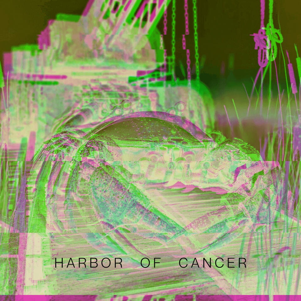 Harbor of Cancer